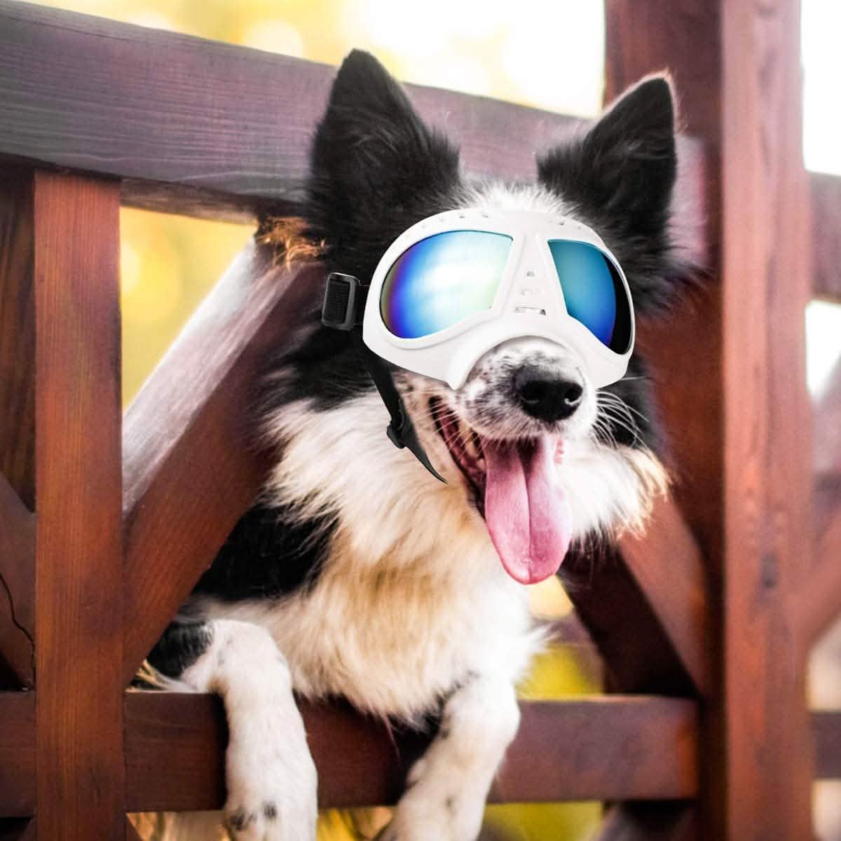 Namsan Dog Goggles-Sunglasses for Large Dogs