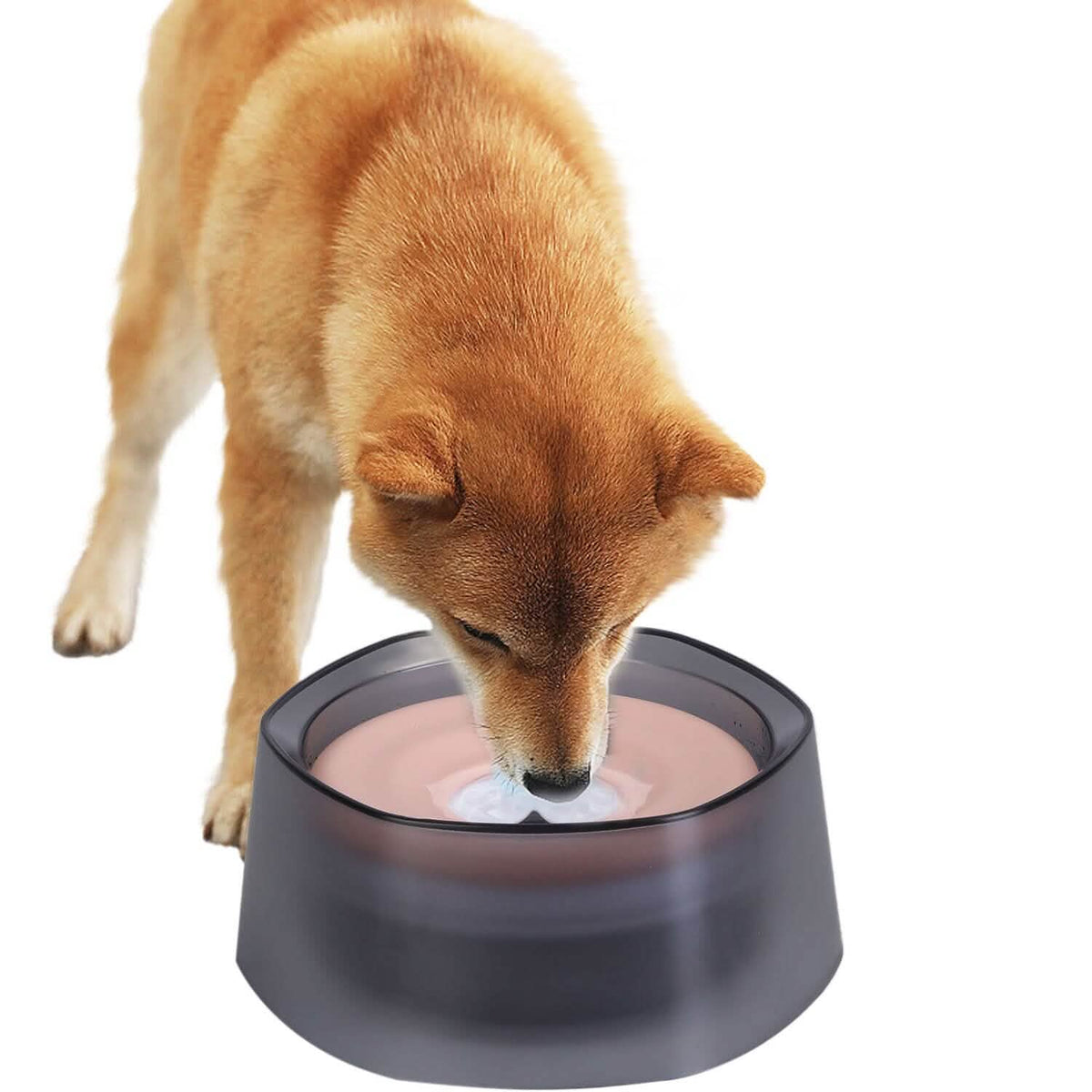 No Spill Dog Cat Water Bowl Spill Proof Slow Water Feeder