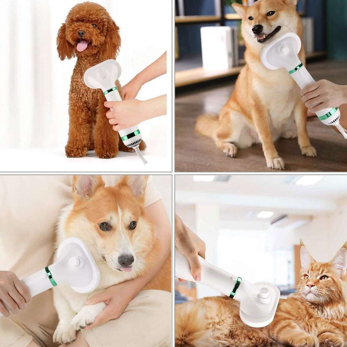 Ownpets 2-in-1 Pet Hair Dryer Portable