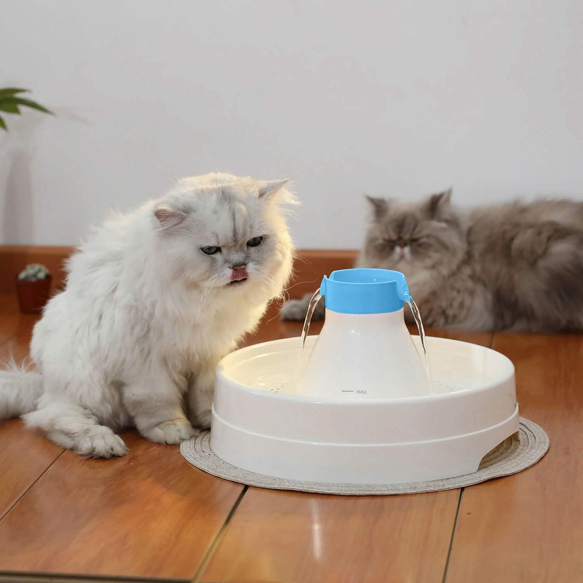Ownpets® Pets Drinking Fountain Active Oxygen Cycle Two Drinking Area 3L
