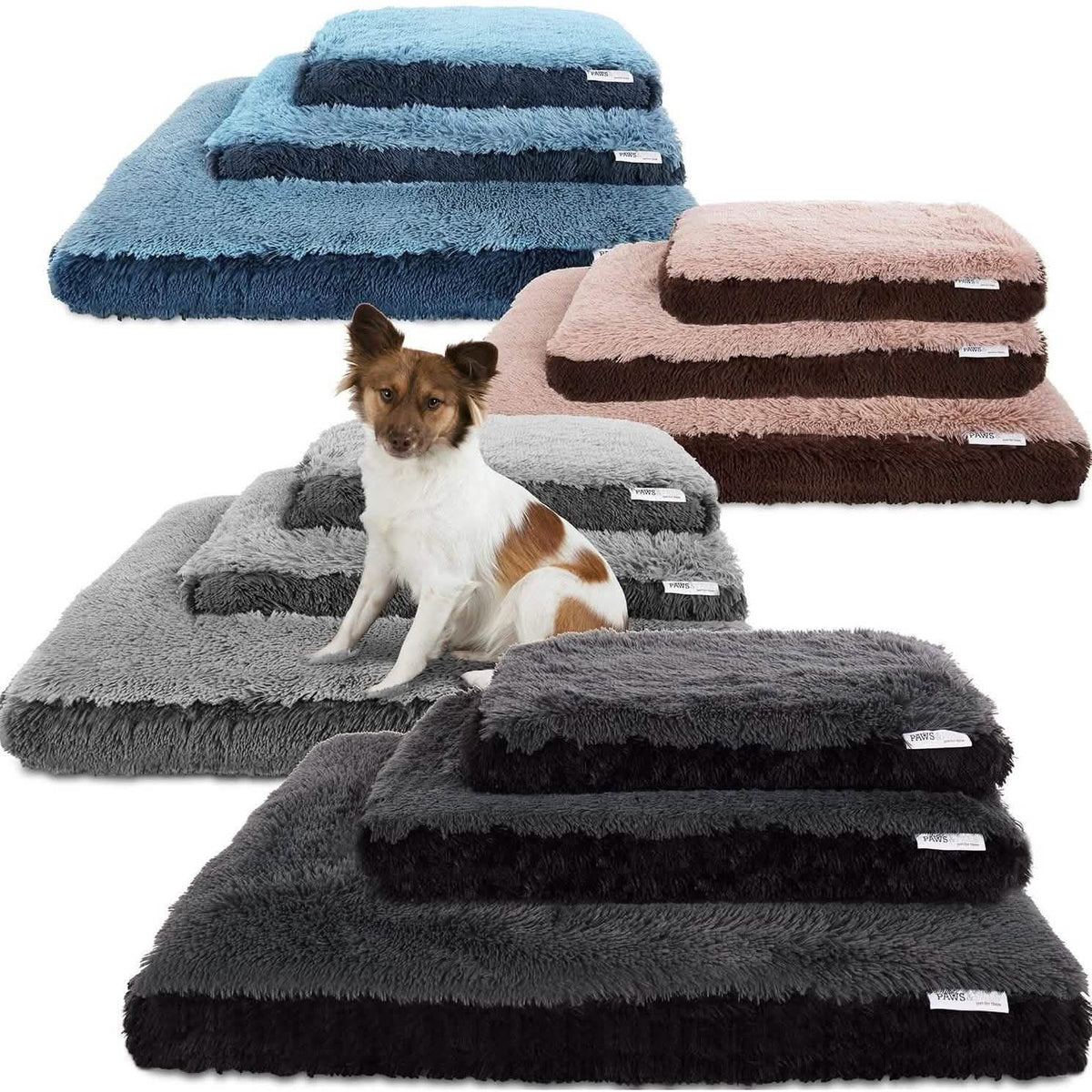 Paws & Pals Bed for Pets