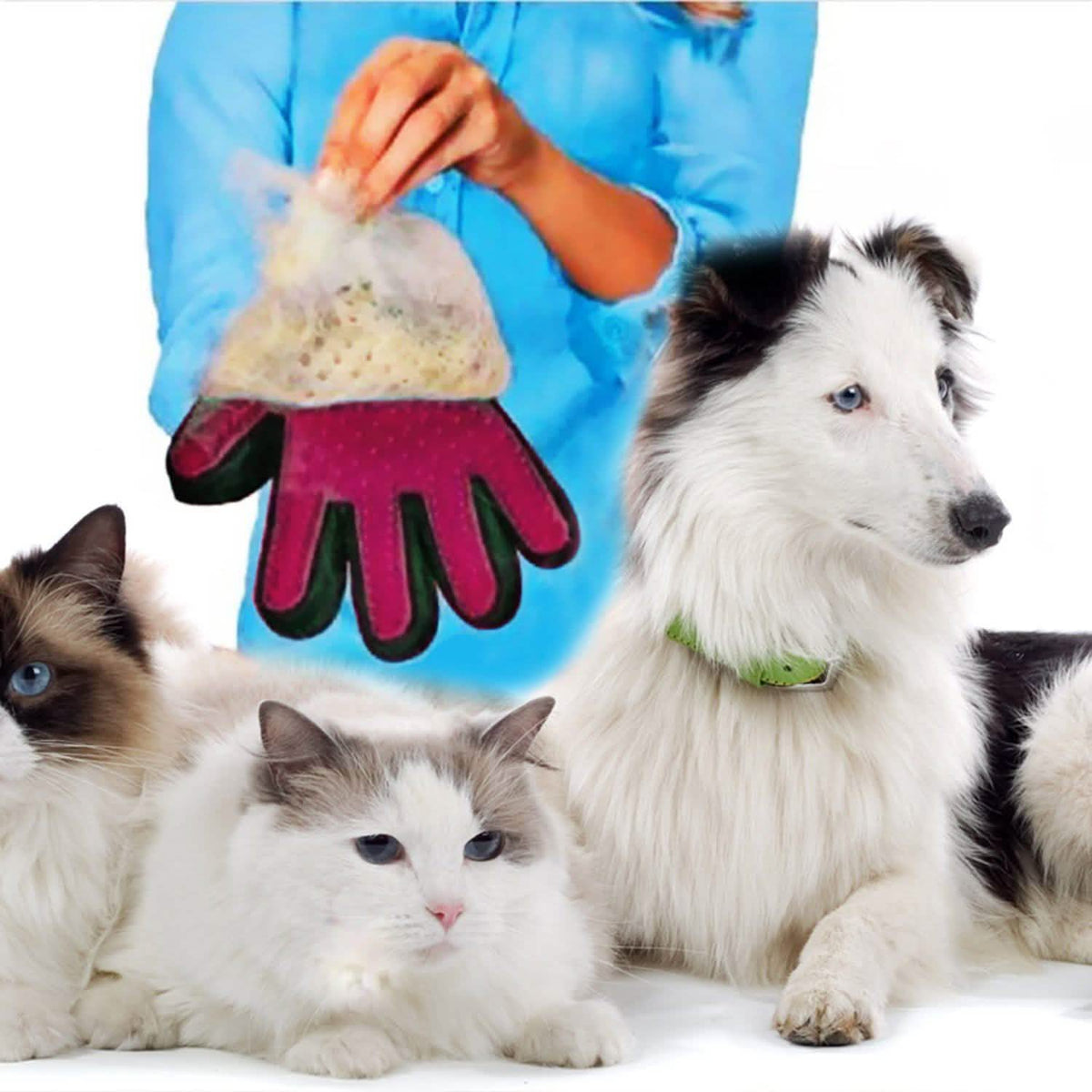 Pet Grooming Glove