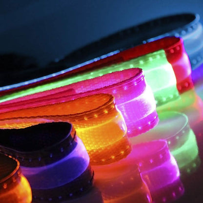 Pet LED Collar