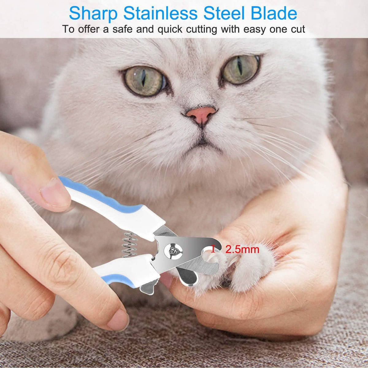 Pet Nail Toe Stainless Steel Trimmer with Nail File