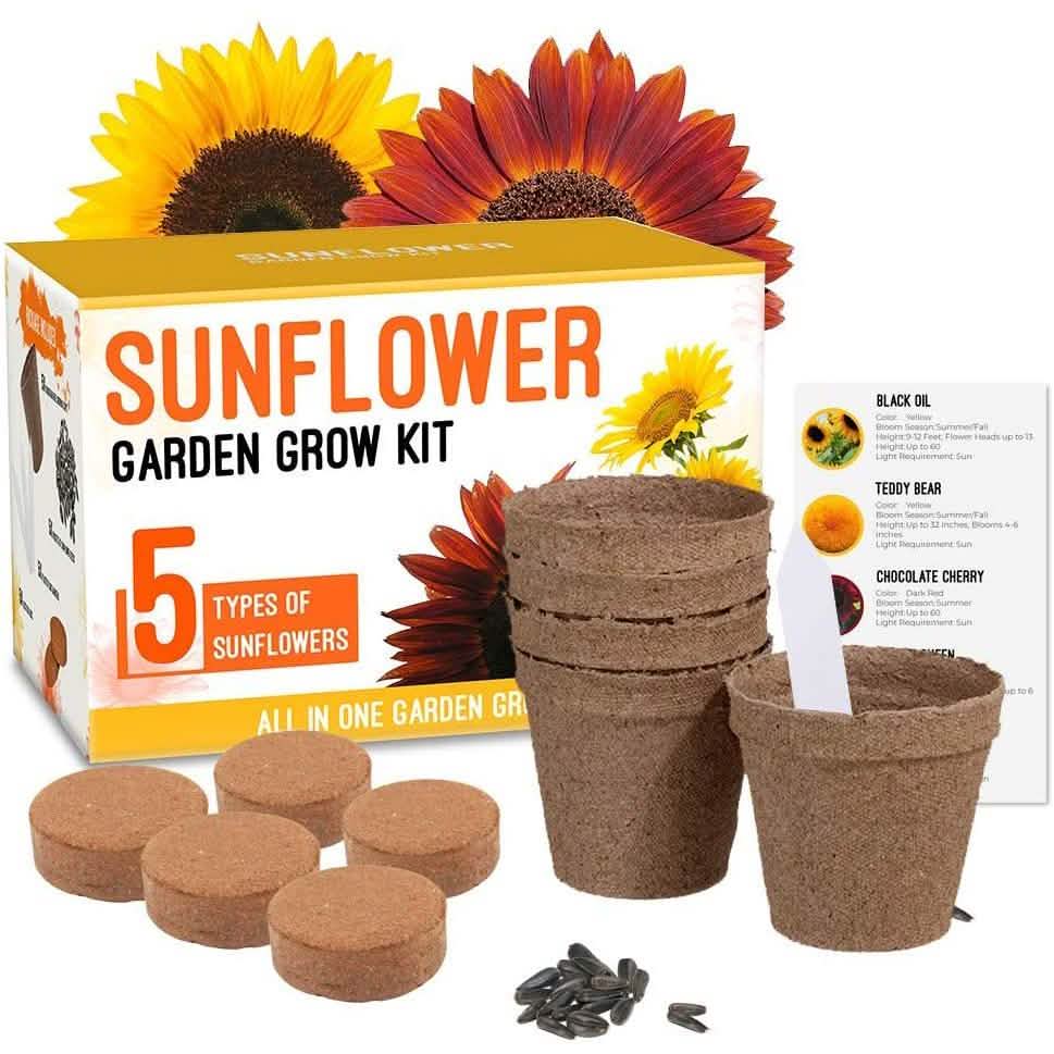 Plant Your Own Garden Grow Kit