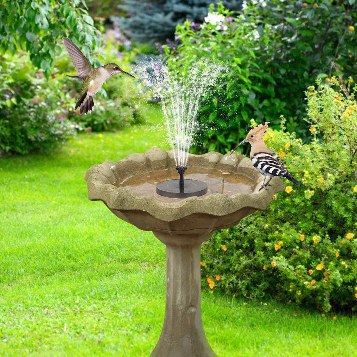 Solar Powered Fountain Pump Floating Bird Bath Pond