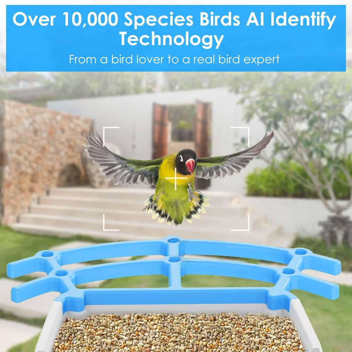 Solar Powered Smart Bird Feeder with PIR Motion AI Two-Way Audio