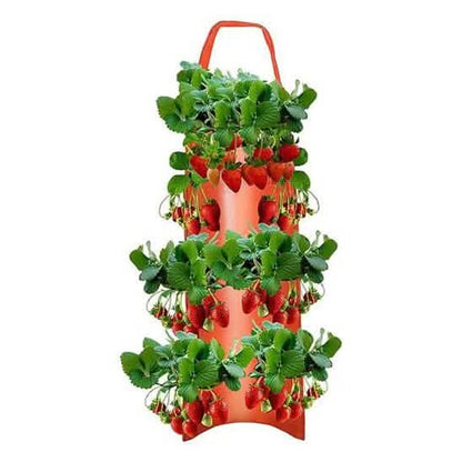 Upside Down Tomato Grow Bag