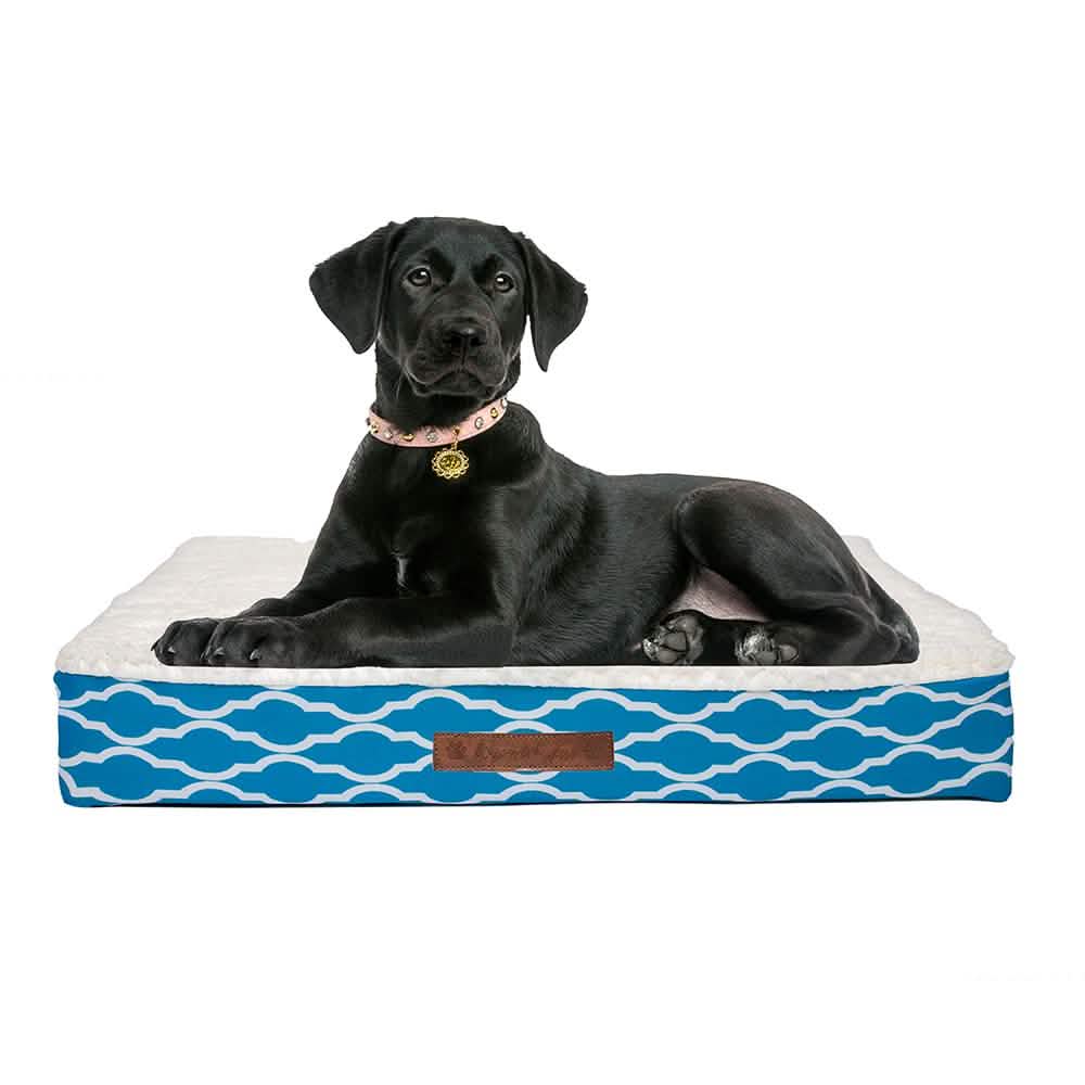 Wags & Whiskers Memory Foam Pet Bed - Assorted Styles